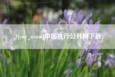 慈利中国执行公开网下载