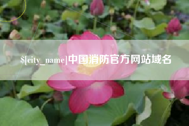 慈利中国消防官方网站域名