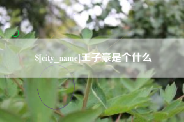 慈利王子豪是个什么