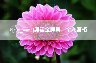 慈利奥运金牌第二个九宫格