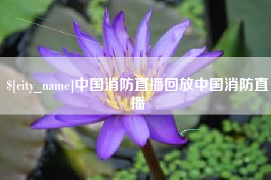 慈利中国消防直播回放中国消防直播