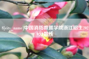 慈利中国消防救援学院浙江招生2020分数线