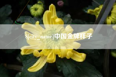 慈利中国金牌样子
