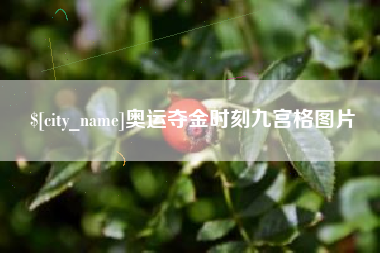 慈利奥运夺金时刻九宫格图片