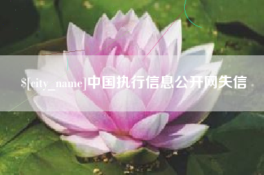 慈利中国执行信息公开网失信