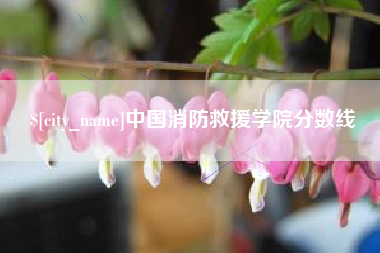 慈利中国消防救援学院分数线