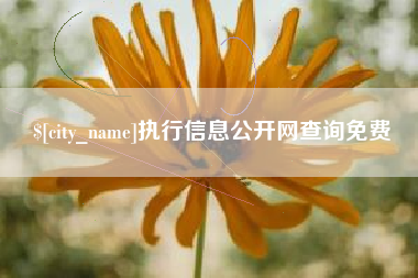 慈利执行信息公开网查询免费